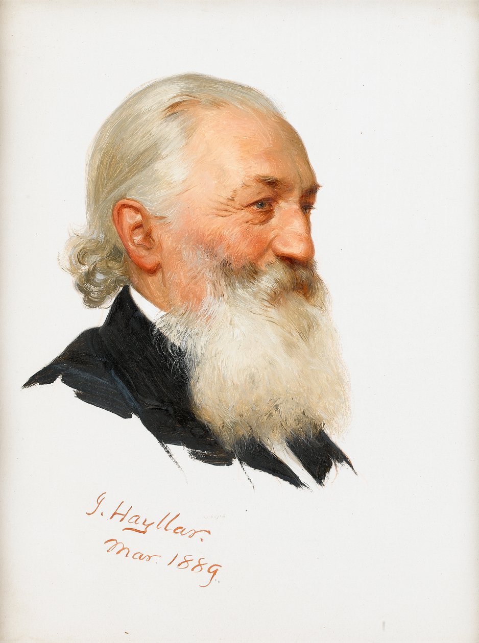 Studie av en skjegget gentleman, 1889 av James Hayllar