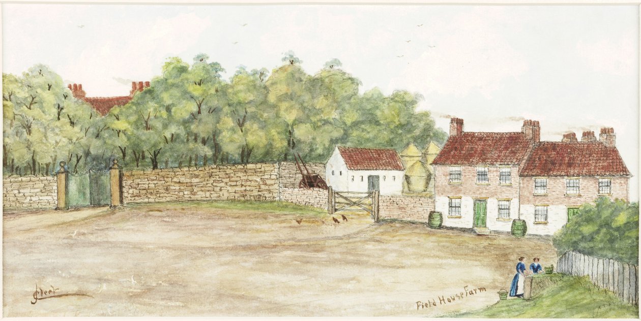 Field House Farm (akvarell, kroppsfarge og blekk på papir) av James Henry Cleet