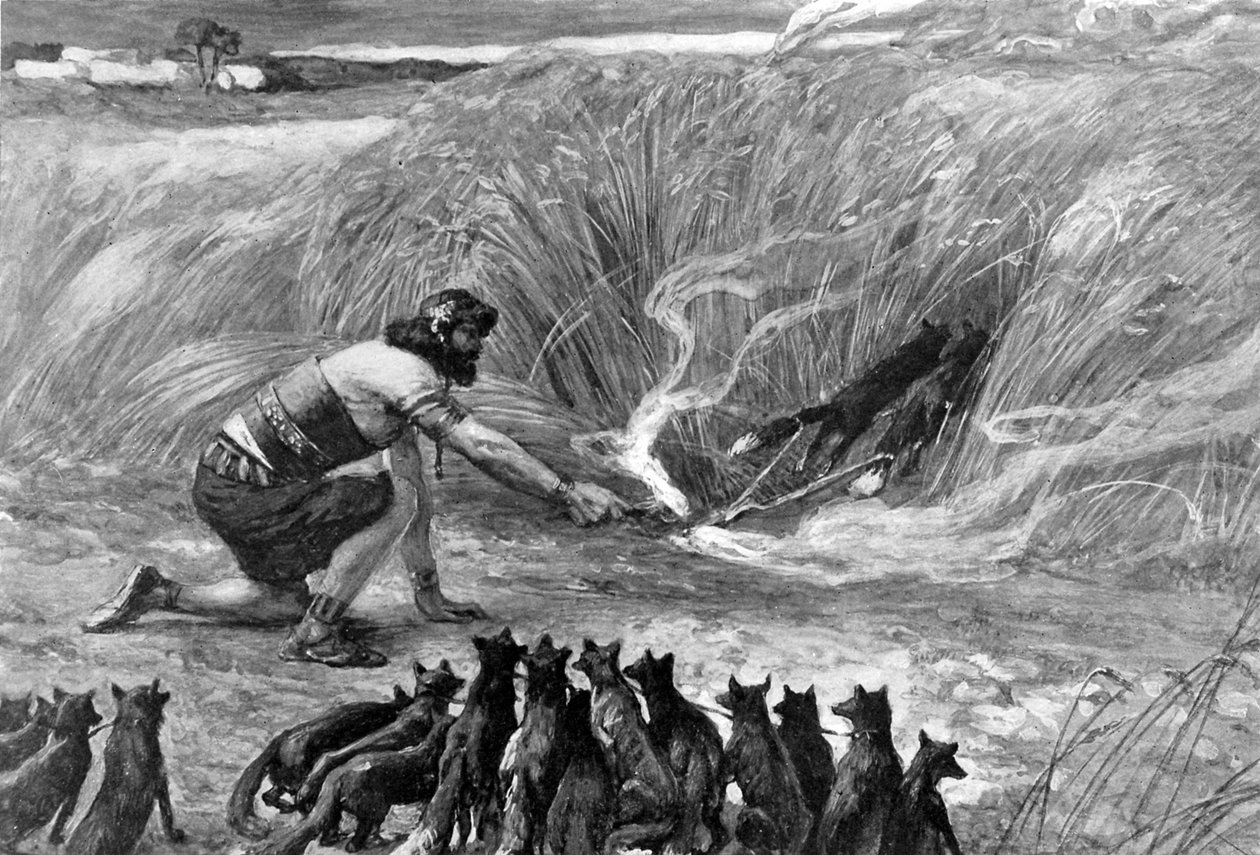 Samson and the foxes av J James Tissot - Bibelen av James Jacques Joseph (after) Tissot