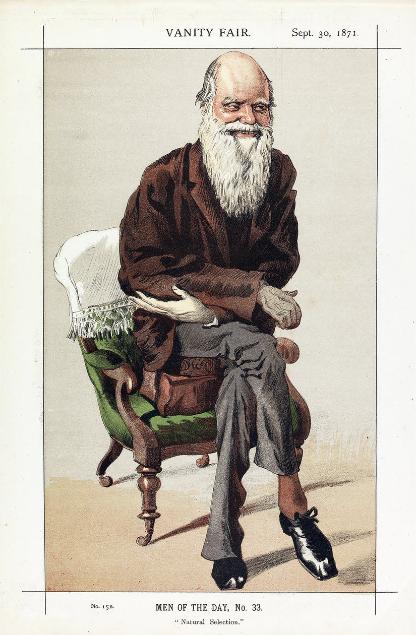 Charles Darwin, Men of the Day, nr. 33, Natural Selection, fra Vanity Fair, pub. 1871 av James Jacques Joseph Tissot