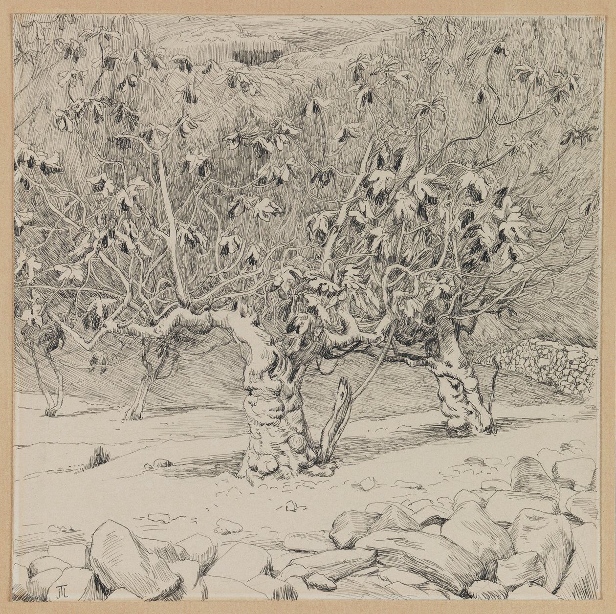 Fikentre, Hinnoms dal, illustrasjon fra Vår Herre Jesu Kristi liv (blekk på papir) av James Jacques Joseph Tissot