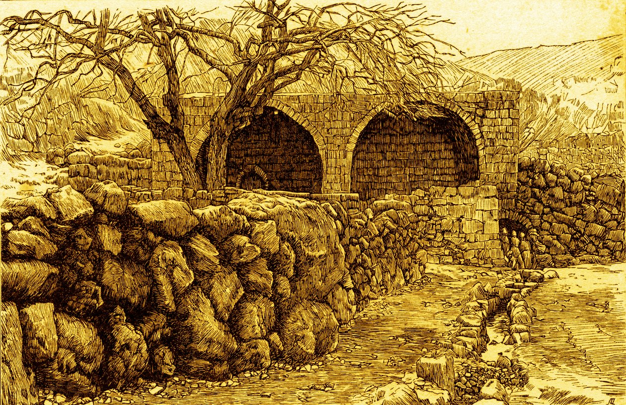 Jomfrufontene - Bibelen av James Jacques Joseph Tissot
