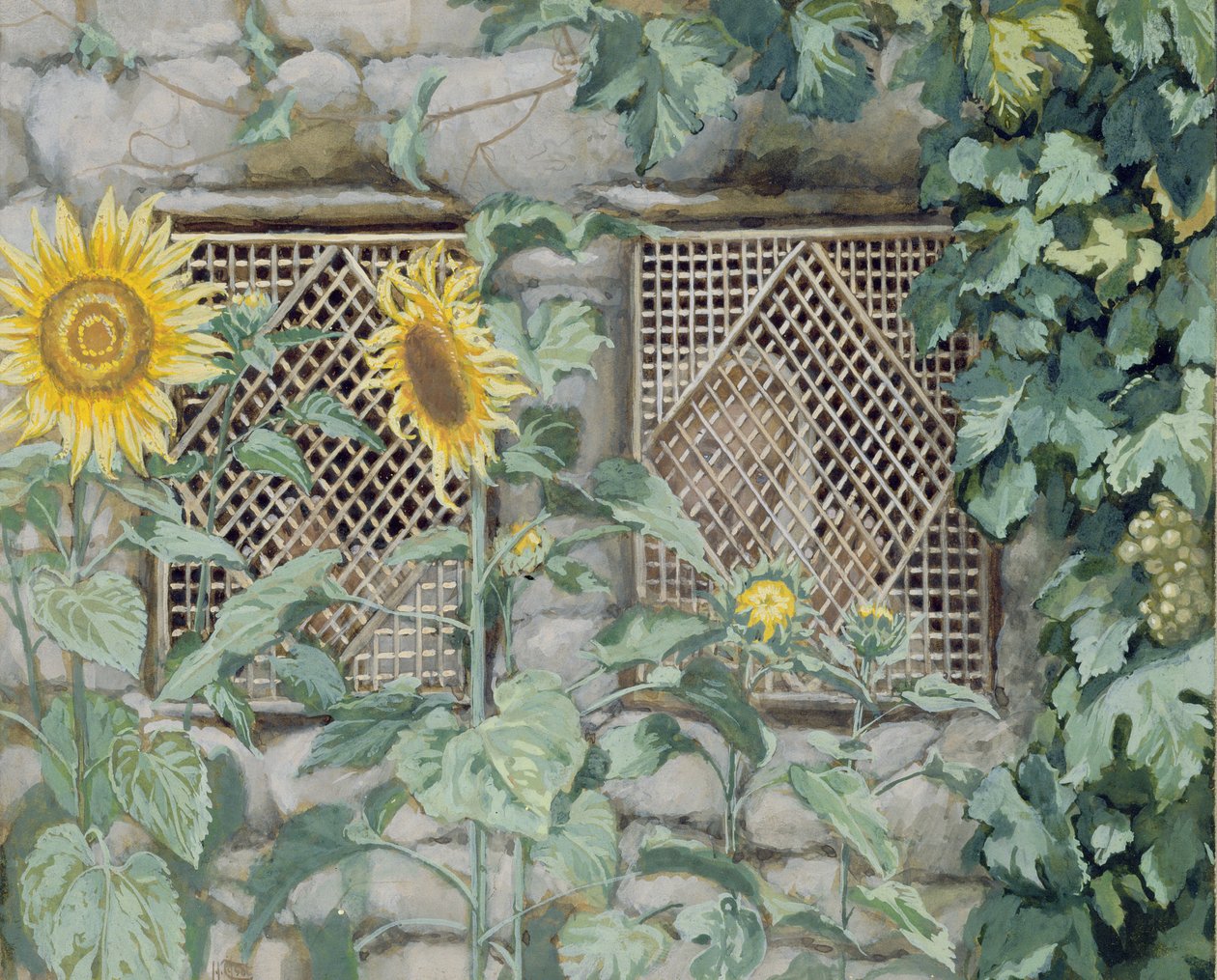 Jesus ser gjennom et gitter med solsikker, illustrasjon for The Life of Christ, ca. 1886-96 (gouache og wc på papir) av James Jacques Joseph Tissot