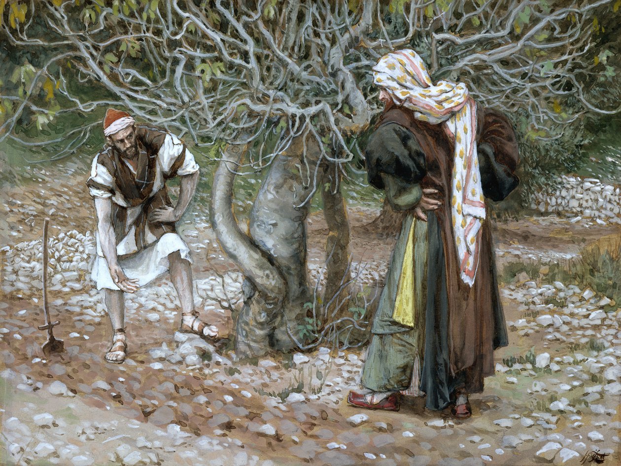 The Barren Fig Tree, illustrasjon for The Life of Christ, ca. 1886-94 (wc & gouache på papp) av James Jacques Joseph Tissot