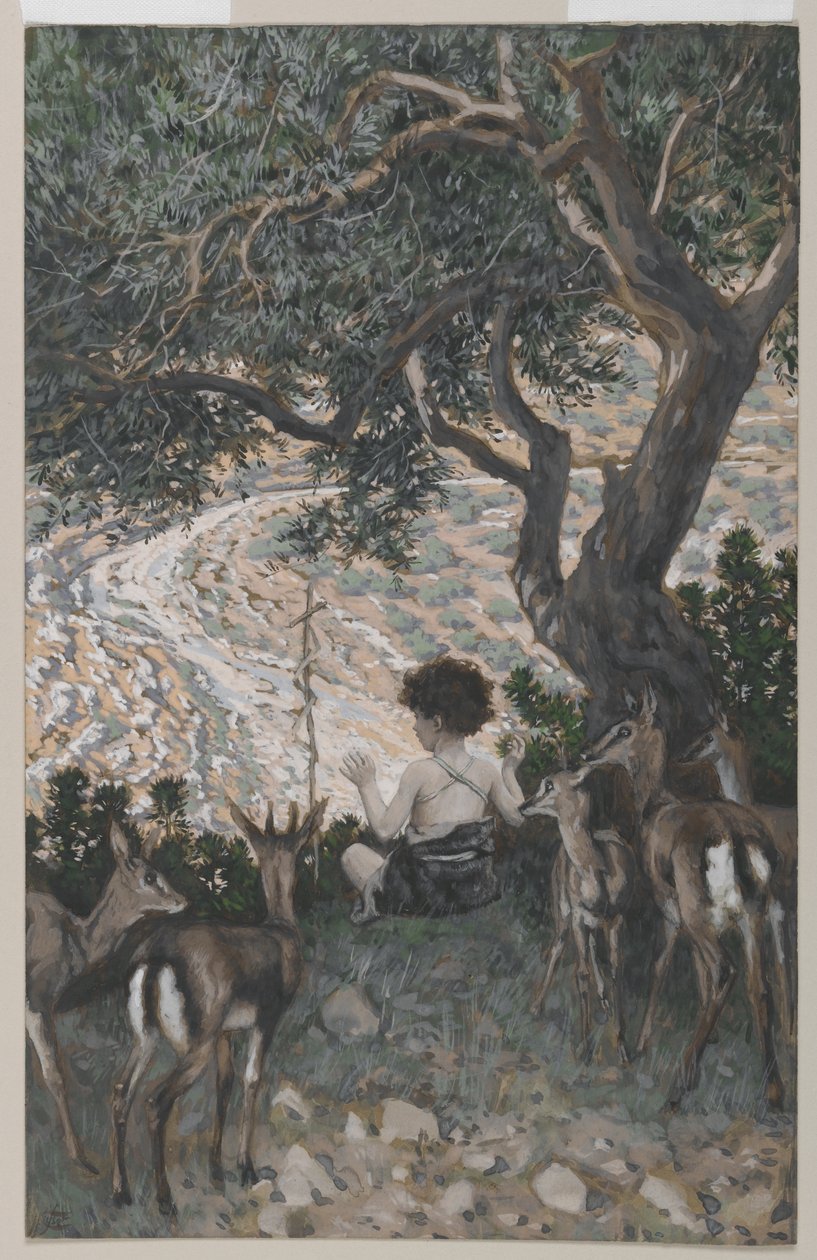The Childhood of Saint John the Baptist, illustrasjon fra The Life of Our Lord Jesu Christ (wc over grafitt på papir) av James Jacques Joseph Tissot