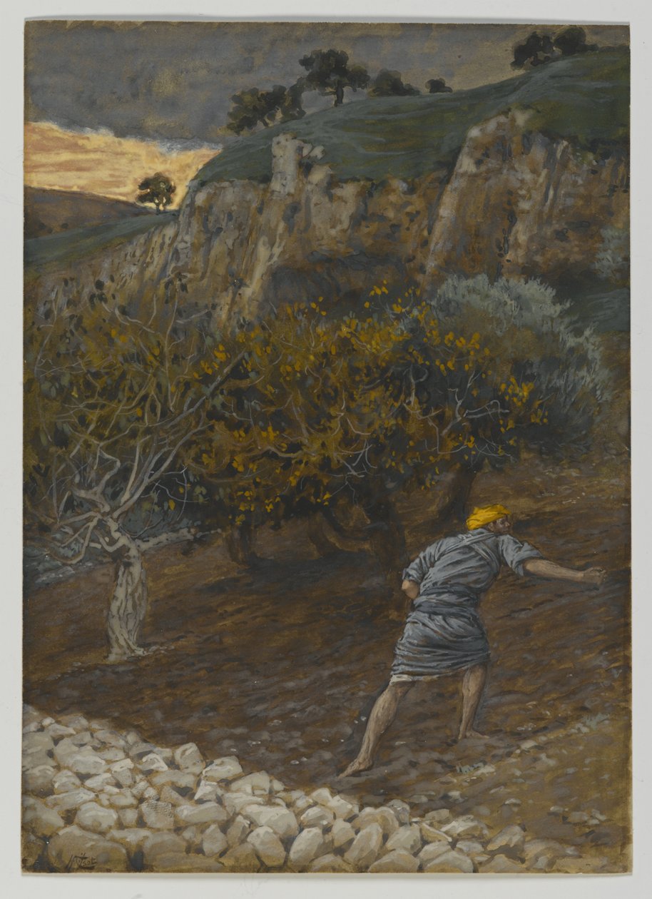Fienden som sår, illustrasjon fra Vår Herre Jesu Kristi liv (wc over grafitt på papir) av James Jacques Joseph Tissot