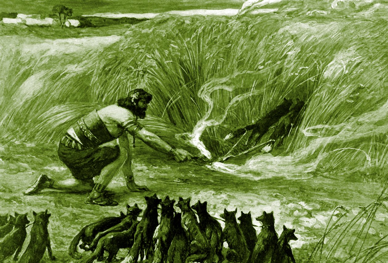 Samson and the foxes av J James Tissot - Bibelen av James Jacques Joseph after Tissot