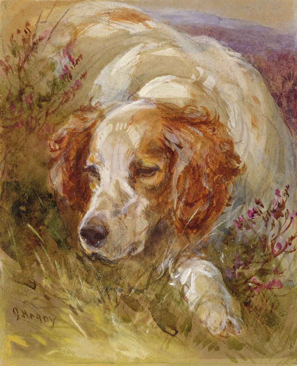 En spaniel (wc og kroppsfarge på papir) av James Jnr Hardy
