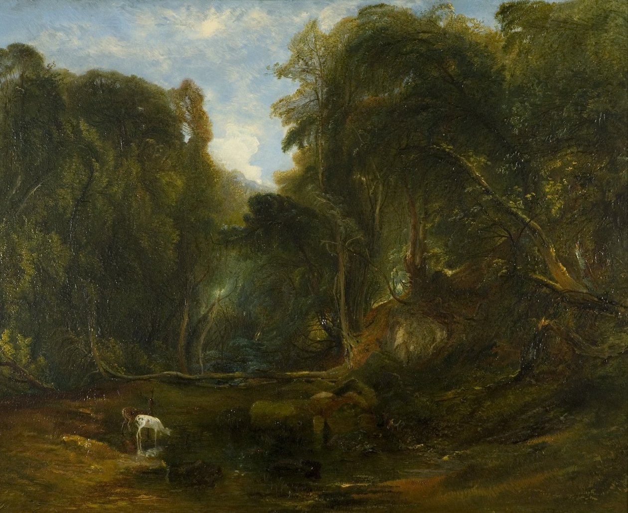 Nightingale Valley av James Johnson