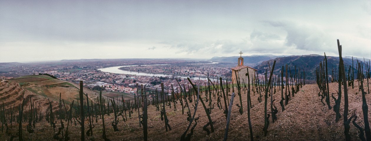 En vingård har utsikt over byen og Rhône-elven. SOCIETE PAUL JABOULET AINE WINE... av James L Stanfield