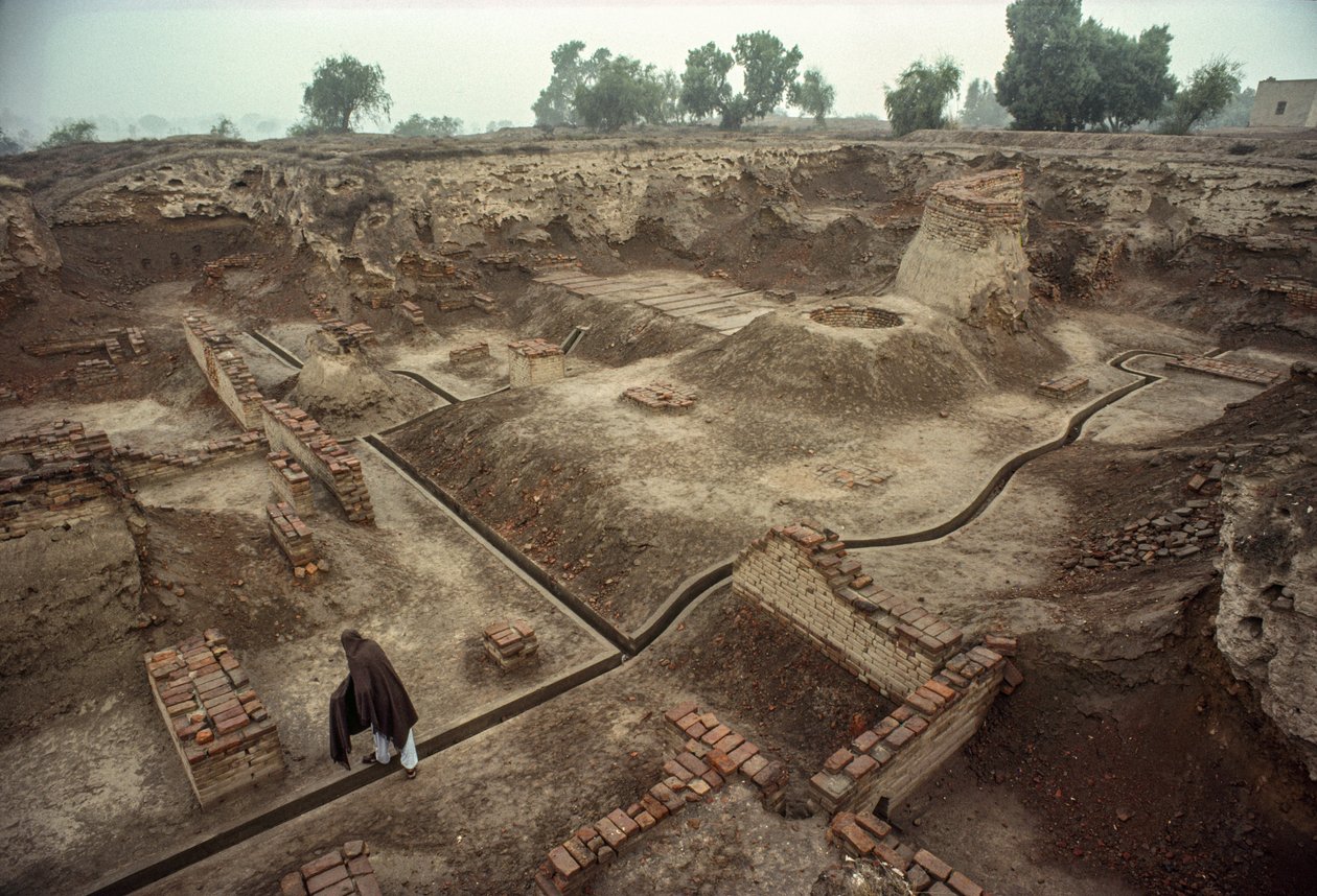 Oversikt over en grop fylt med restene av murvegger, en brønn i murstein. HARAPPA E... av James L Stanfield