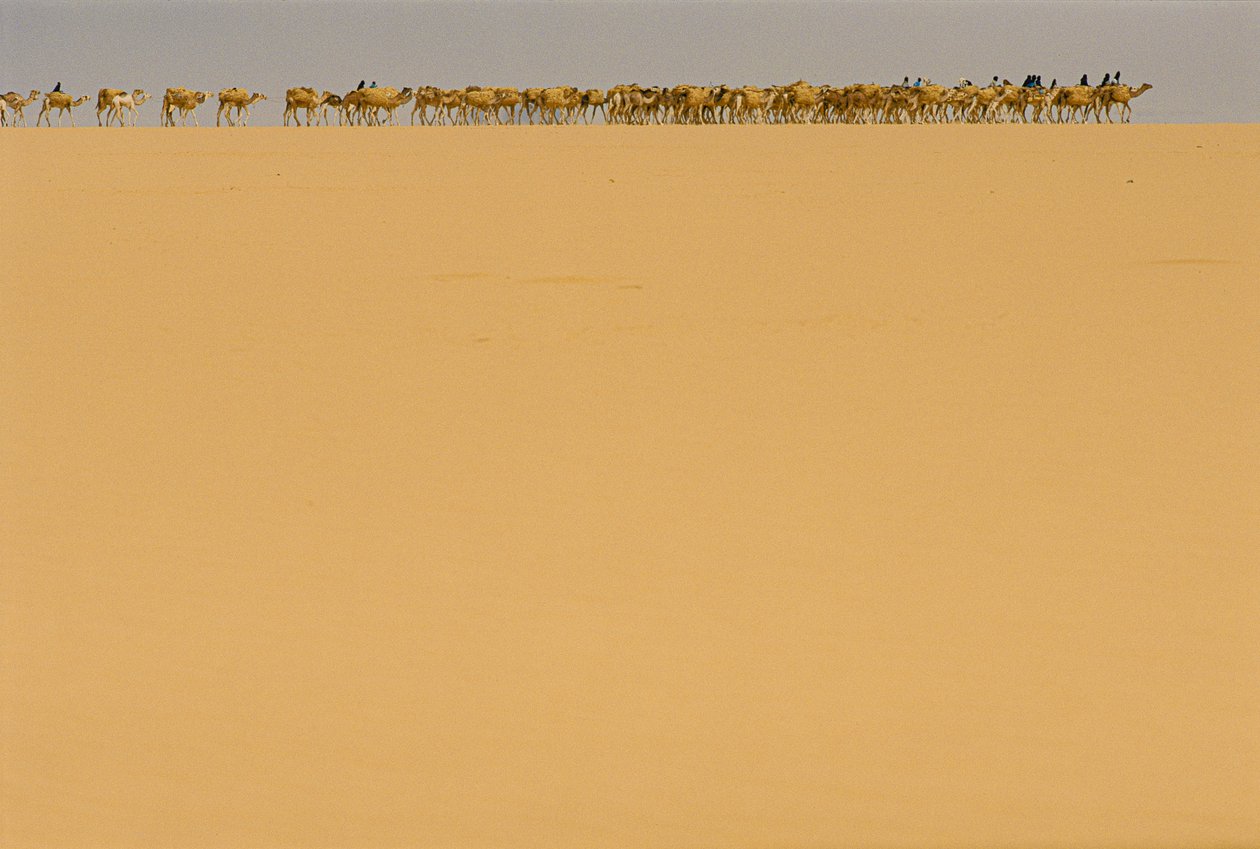  av James L Stanfield