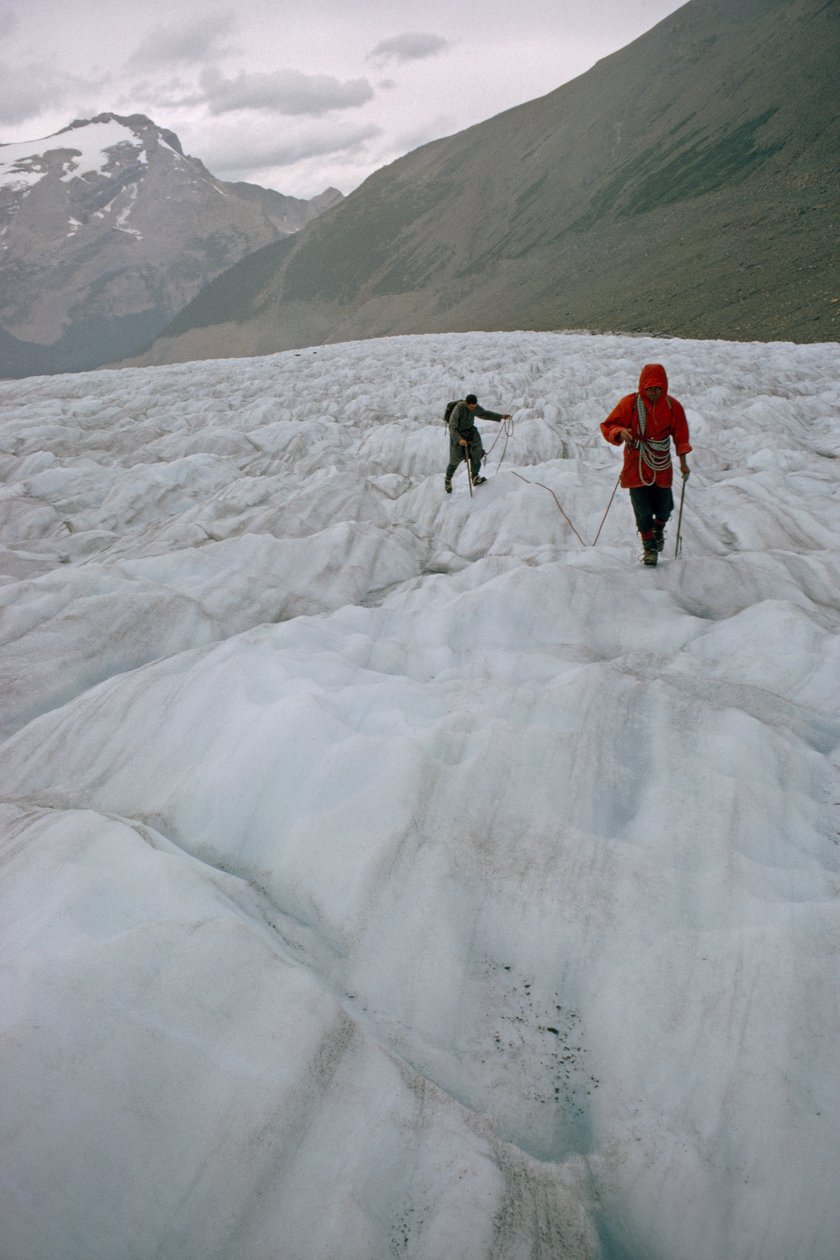 To fjellklatrere som er bundet fast på en isbre, nærmer seg en bresprekk. Mount Robson Prov... av James L Stanfield