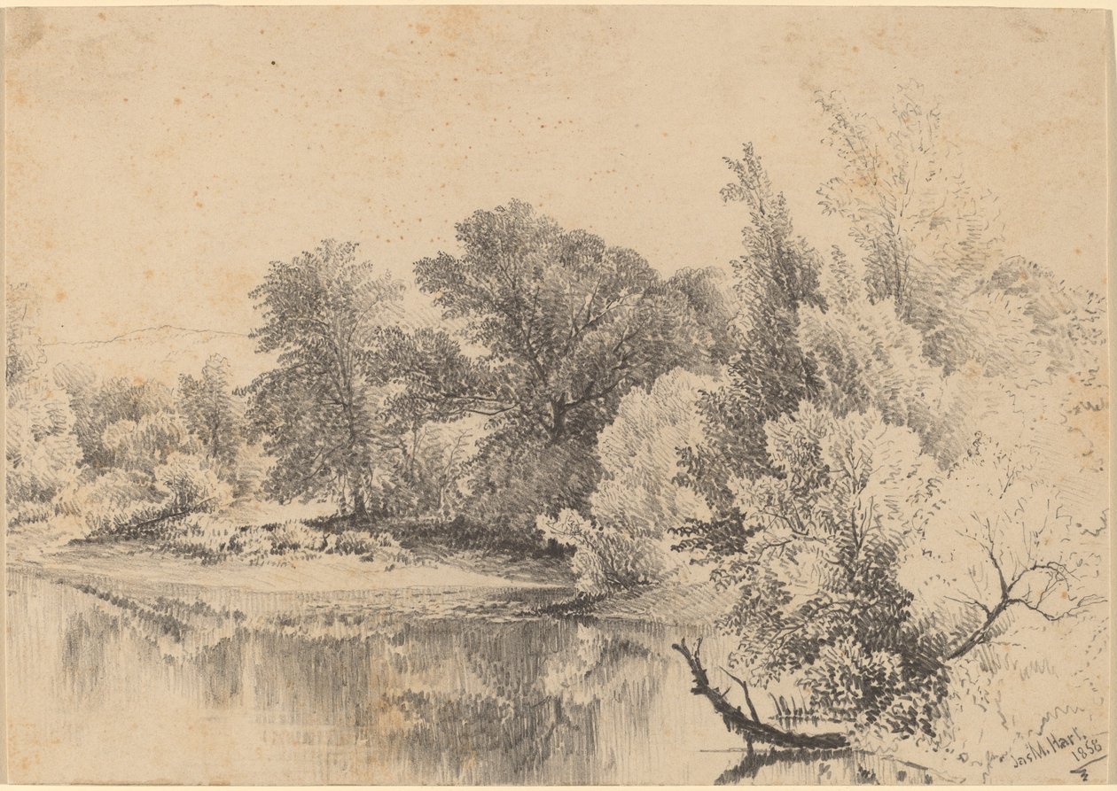 Damkant av James McDougal Hart