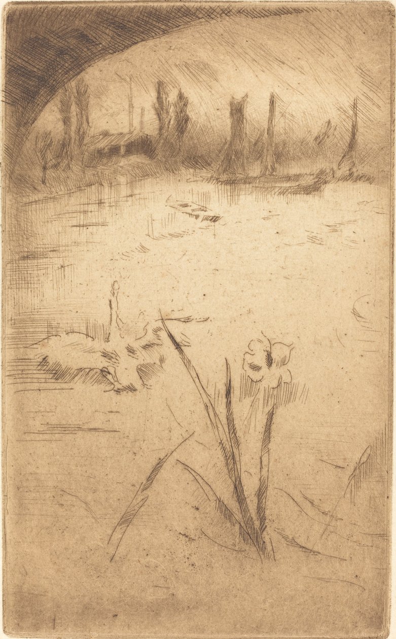 Swan og Iris av James Abbott McNeill Whistler