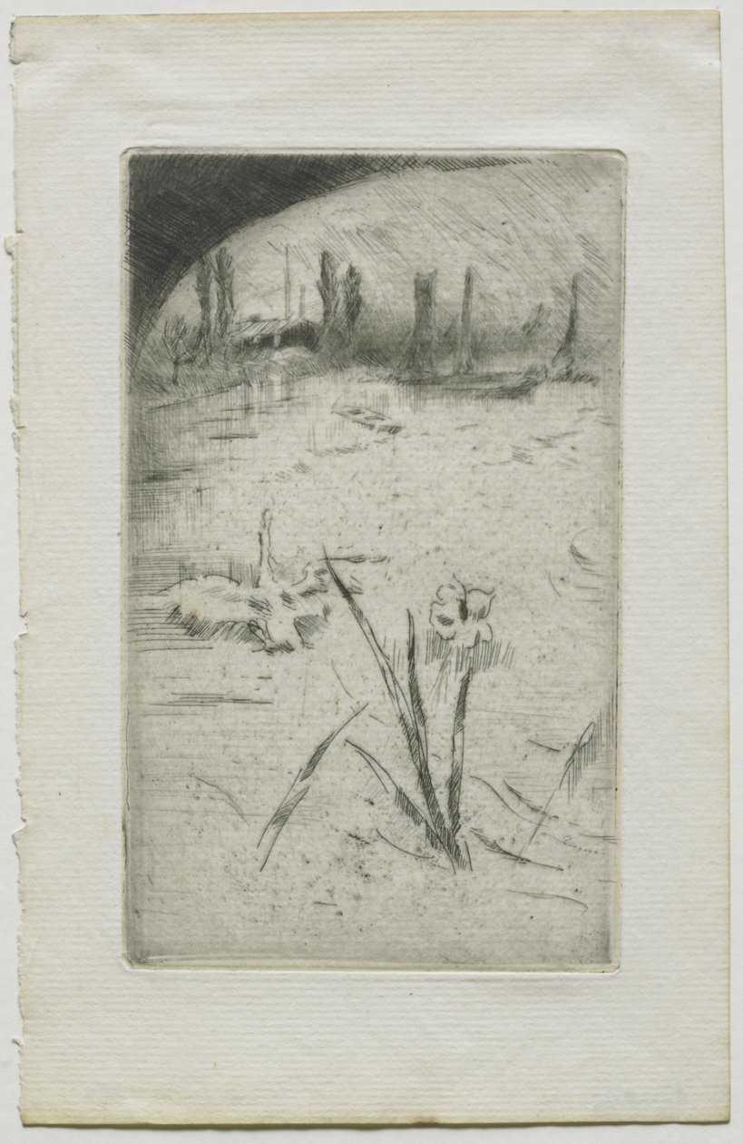 Svane og iris av James McNeill Whistler
