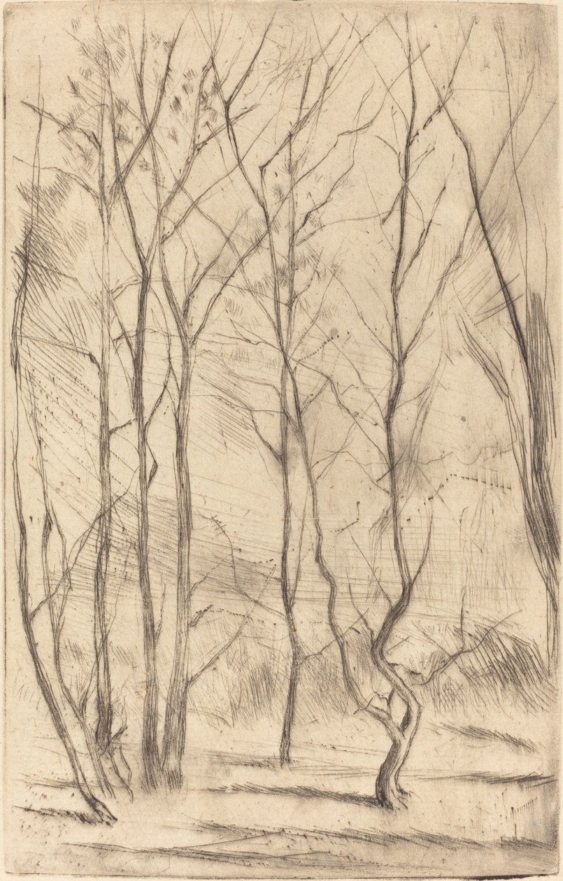 Damskogen av James Abbott McNeill Whistler