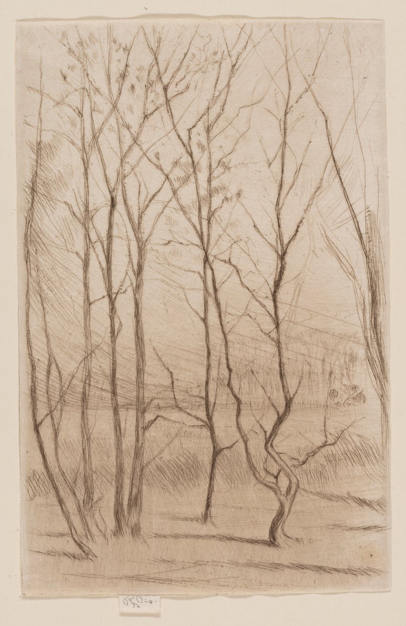 Damskogen av James Abbott McNeill Whistler