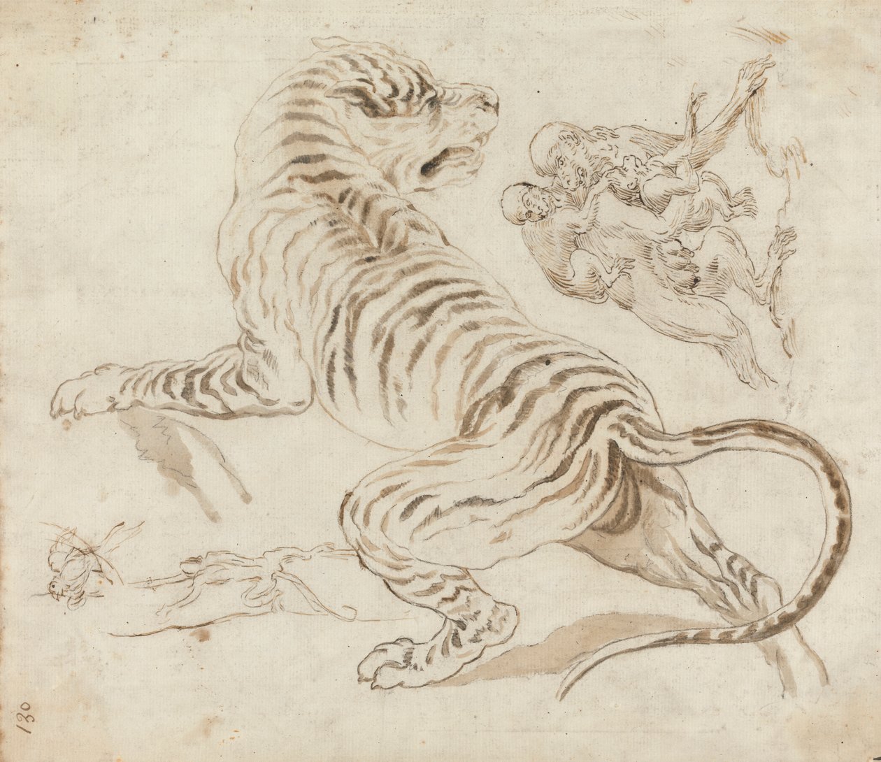 Studer for en tiger og aper av James Northcote