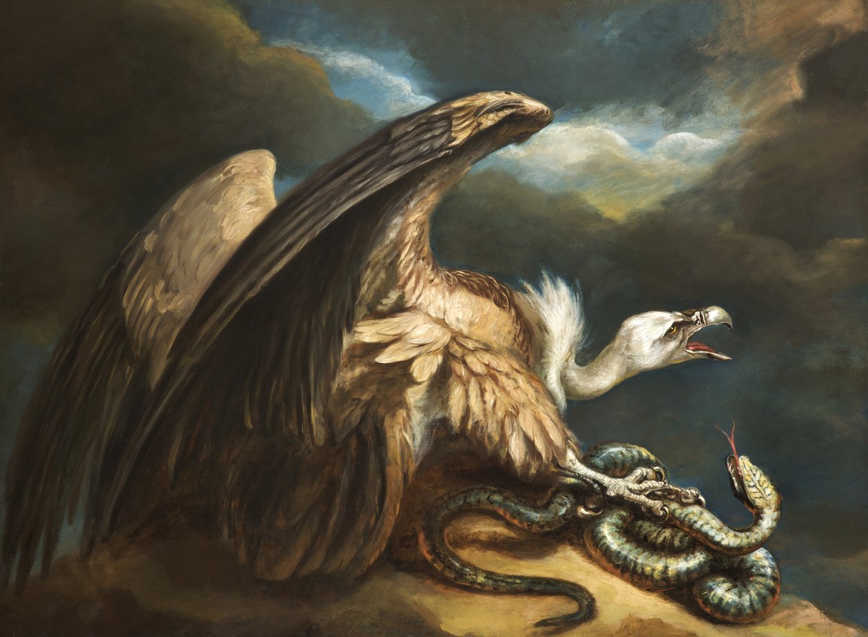 Gribb og slange, 1798 av James Northcote