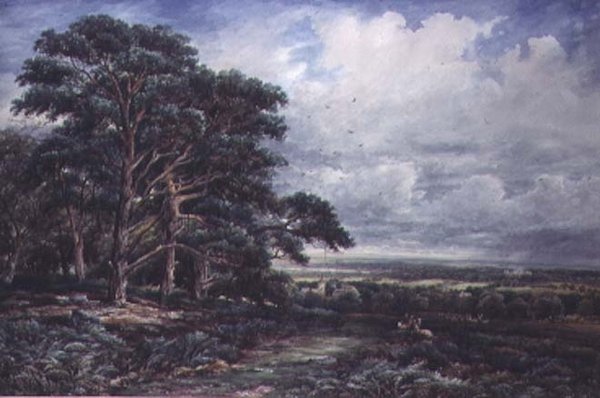 Bradgate Park nær Leicester, akvarell av James Orrock
