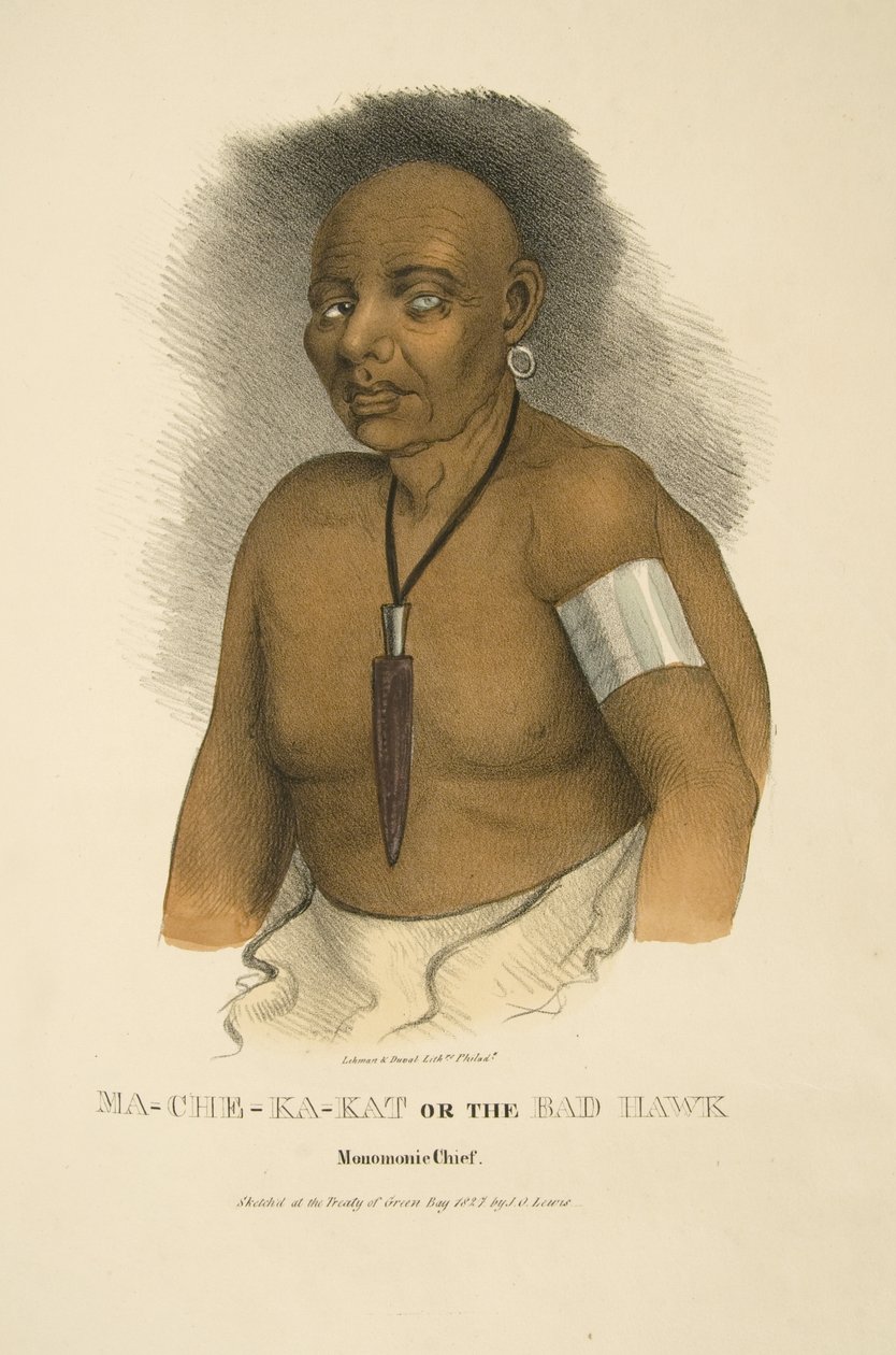 Mama-ch-ka-cut og den dårlige hauken av James Otto Lewis