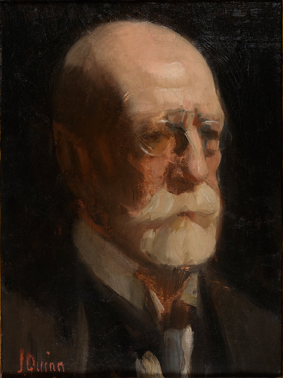Portrett av en mann med skjegg (olje på lerret) av James Peter Quinn