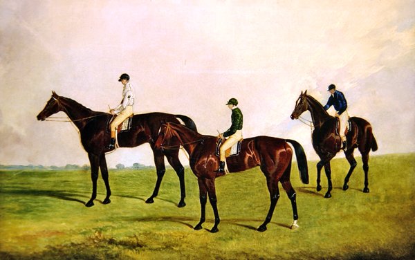 Racehorses Jockeys Up (olje på lerret) av James Pollard
