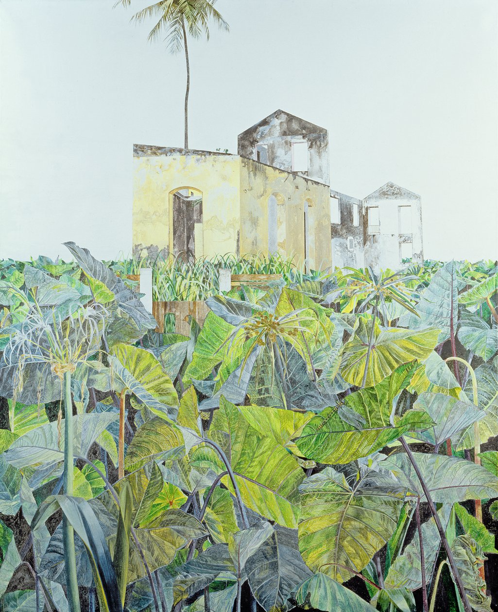 Ruin in a Swamp, Haiti, 1971 av James Reeve