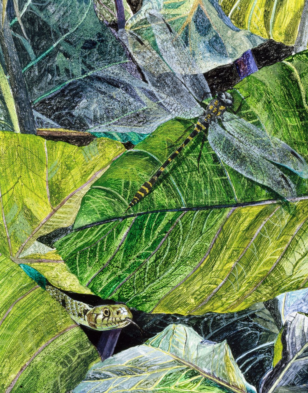 Water Snake and Dragon-fly, 1971 av James Reeve