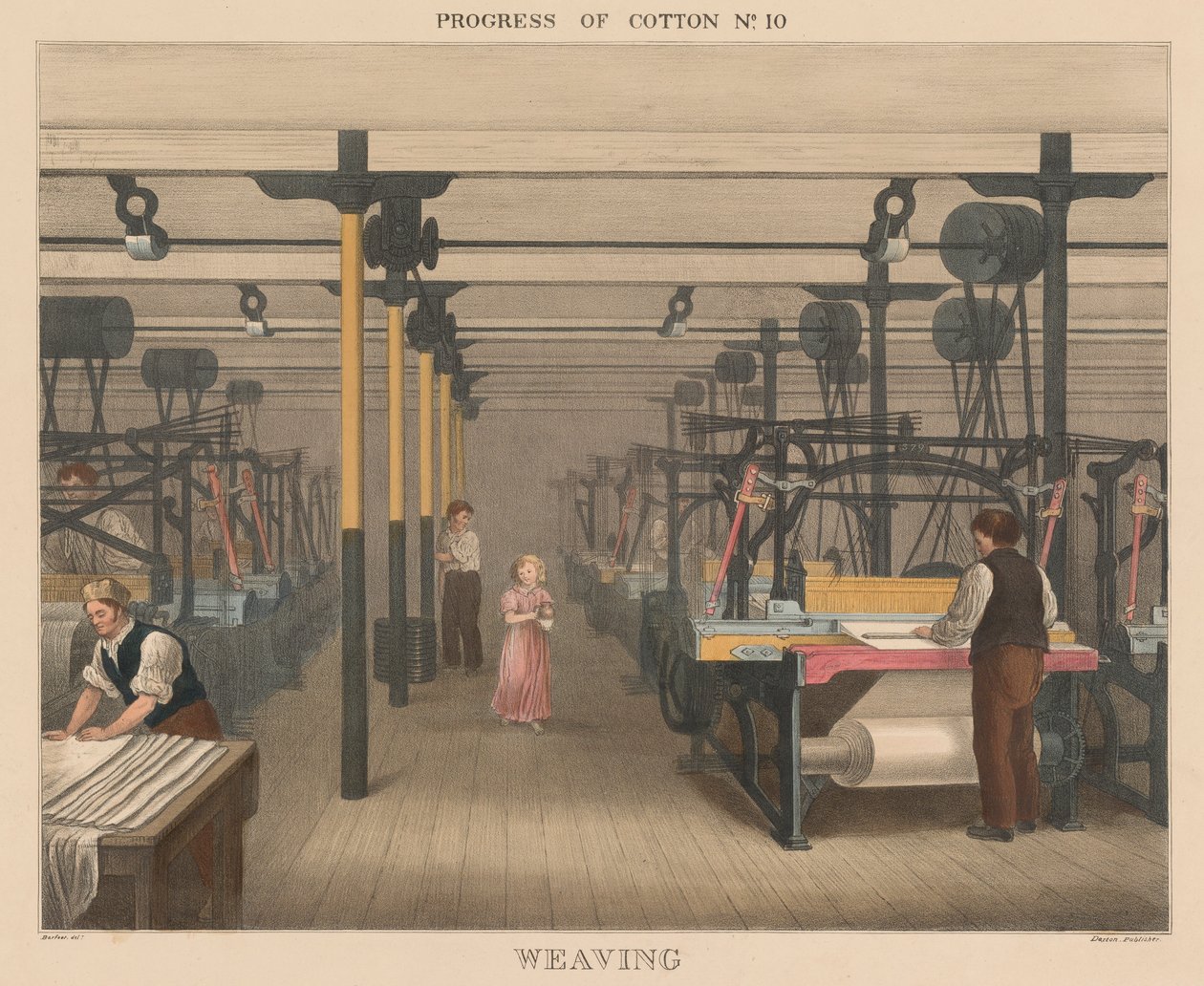 Progress of Cotton: # 10 - Veving av James Richard Barfoot