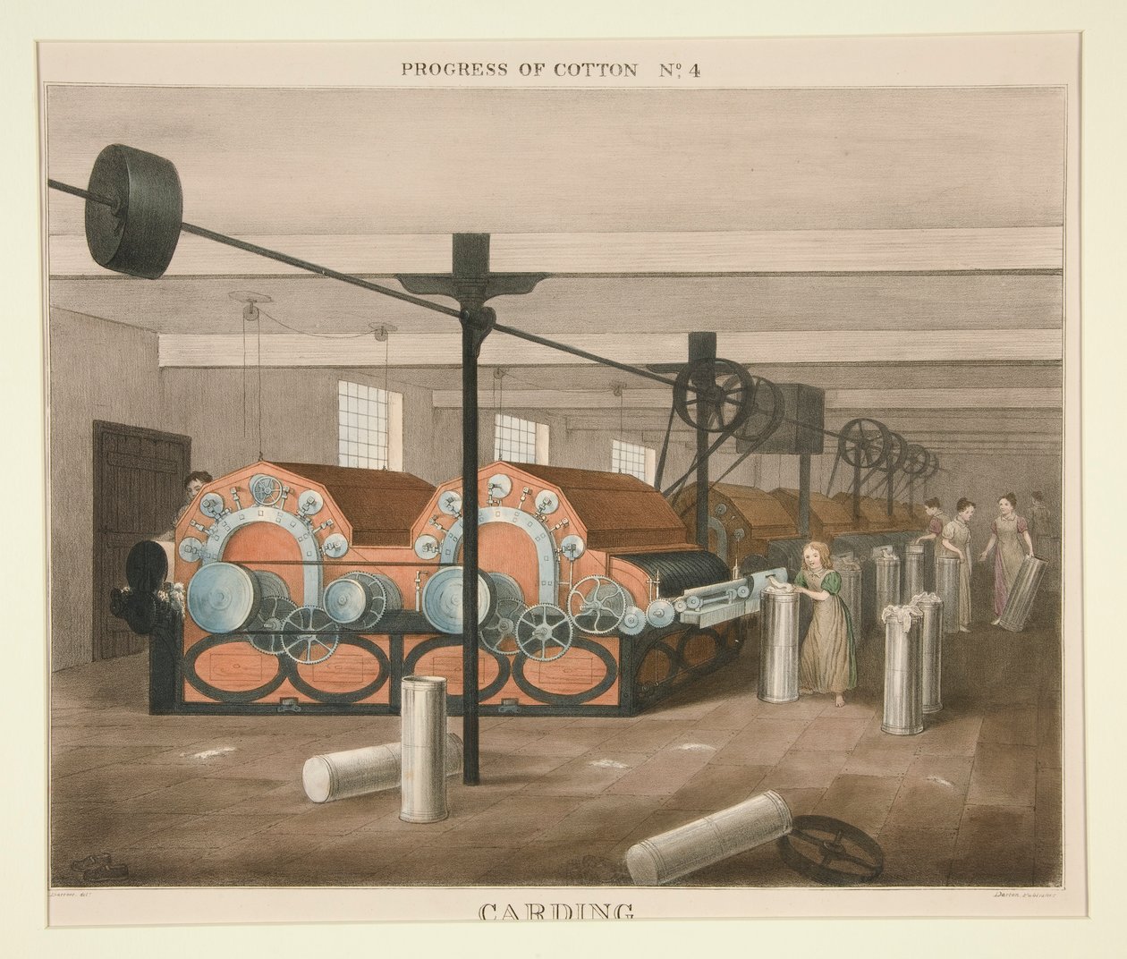 Progress of Cotton: #4 - Karding av James Richard Barfoot