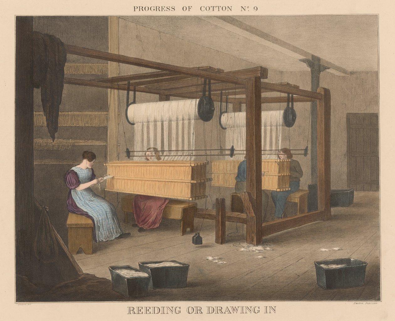 Progress of Cotton: #9 - Reeding eller inntrekking av James Richard Barfoot
