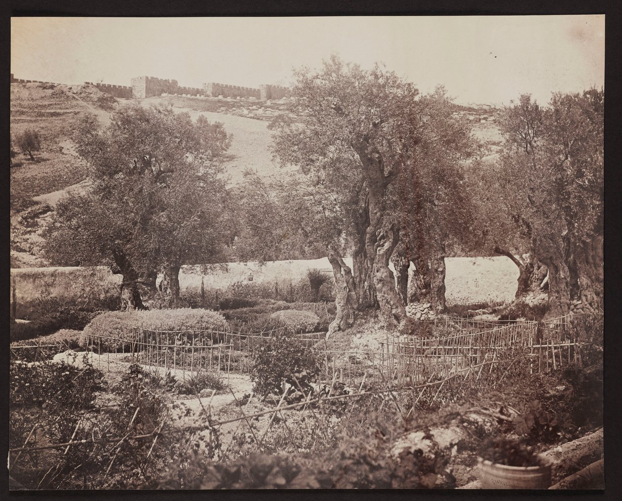 Getsemane [Jerusalem. Oljeberget] av James Robertson