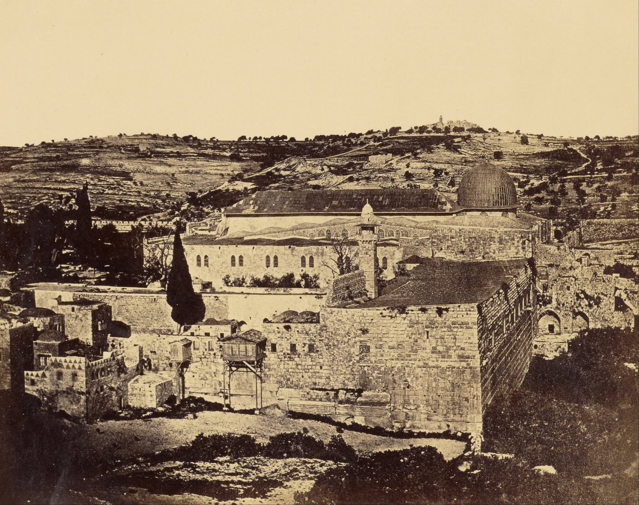 Moskus el-Aska, Salomos port av James Robertson