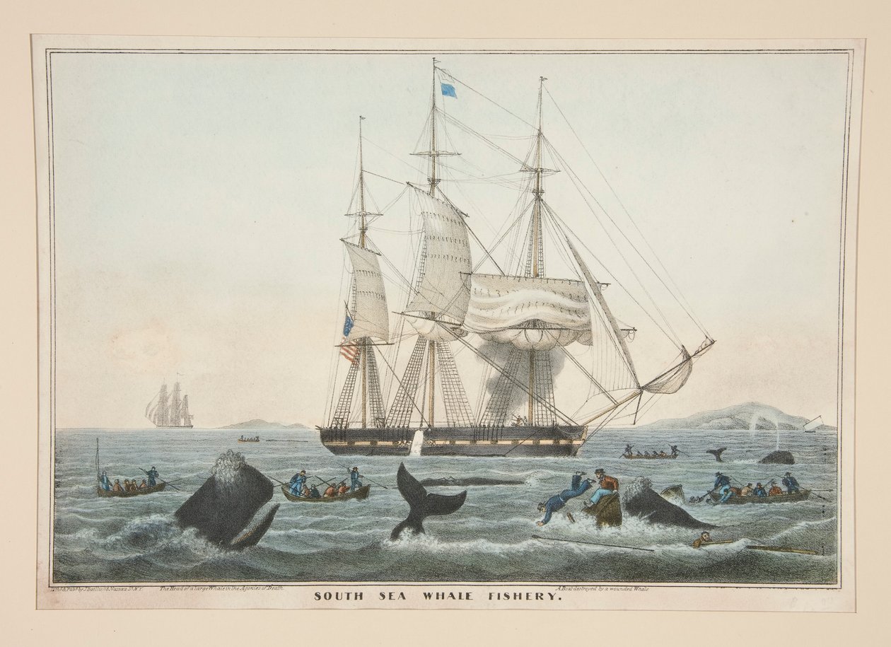 South Sea Whale Fishing av James S. Baillie