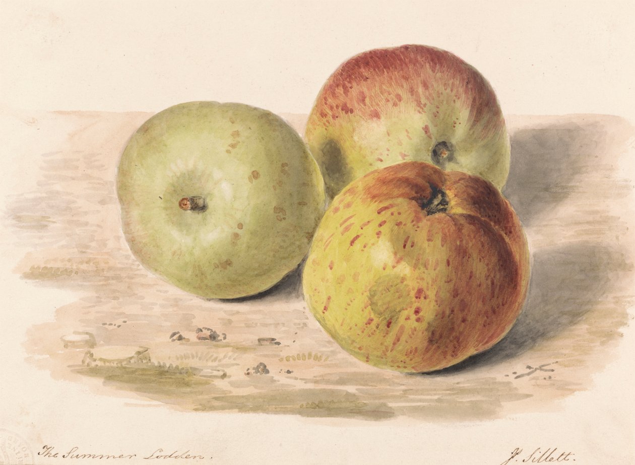 Sommeren Lodden, sept. 1832: En stillebenstudie av tre epler av James Sillett