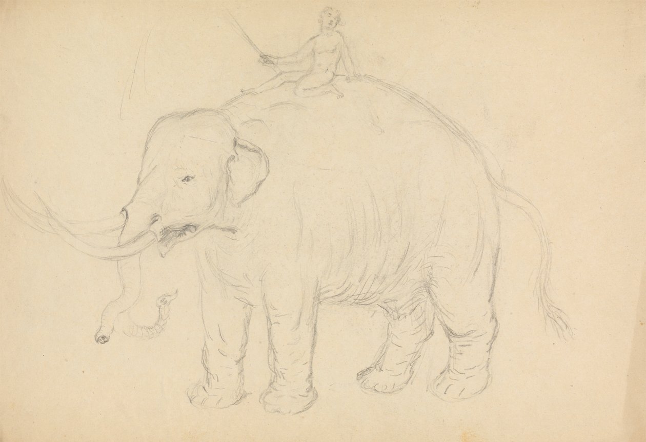 Elefant med rytter av James Sowerby