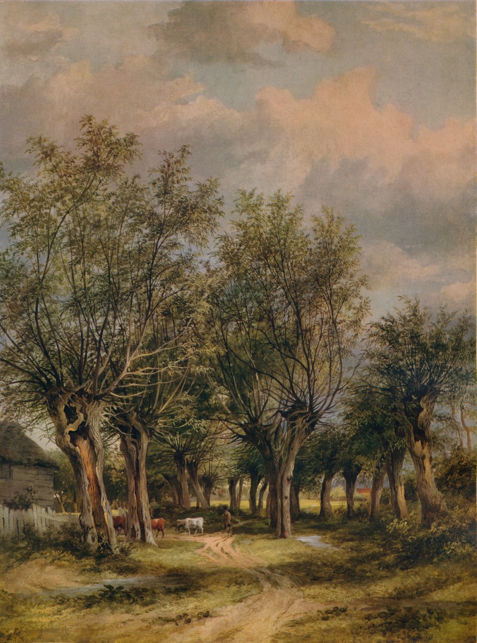 En gate nær Norwich, c1837 av James Stark