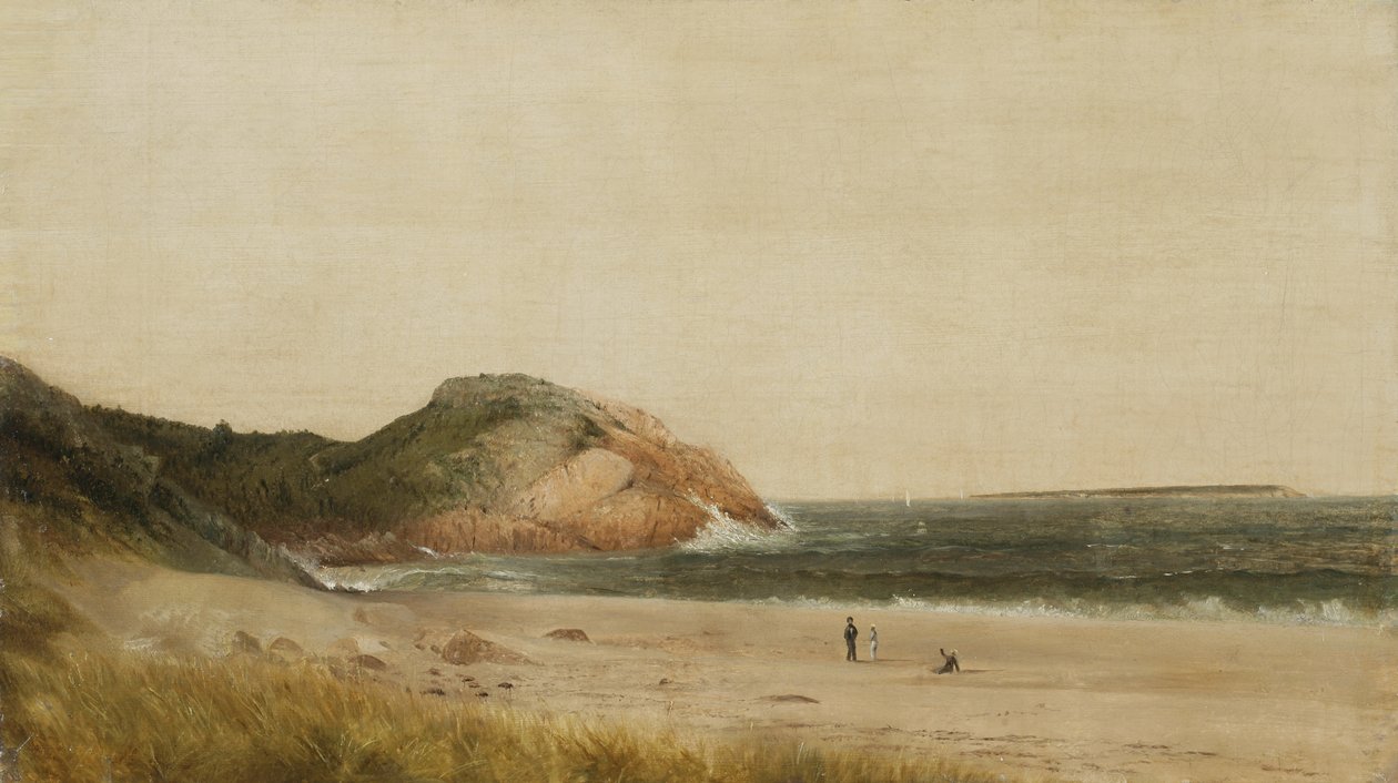 Strandscene (olje på lerret) av James Suydam