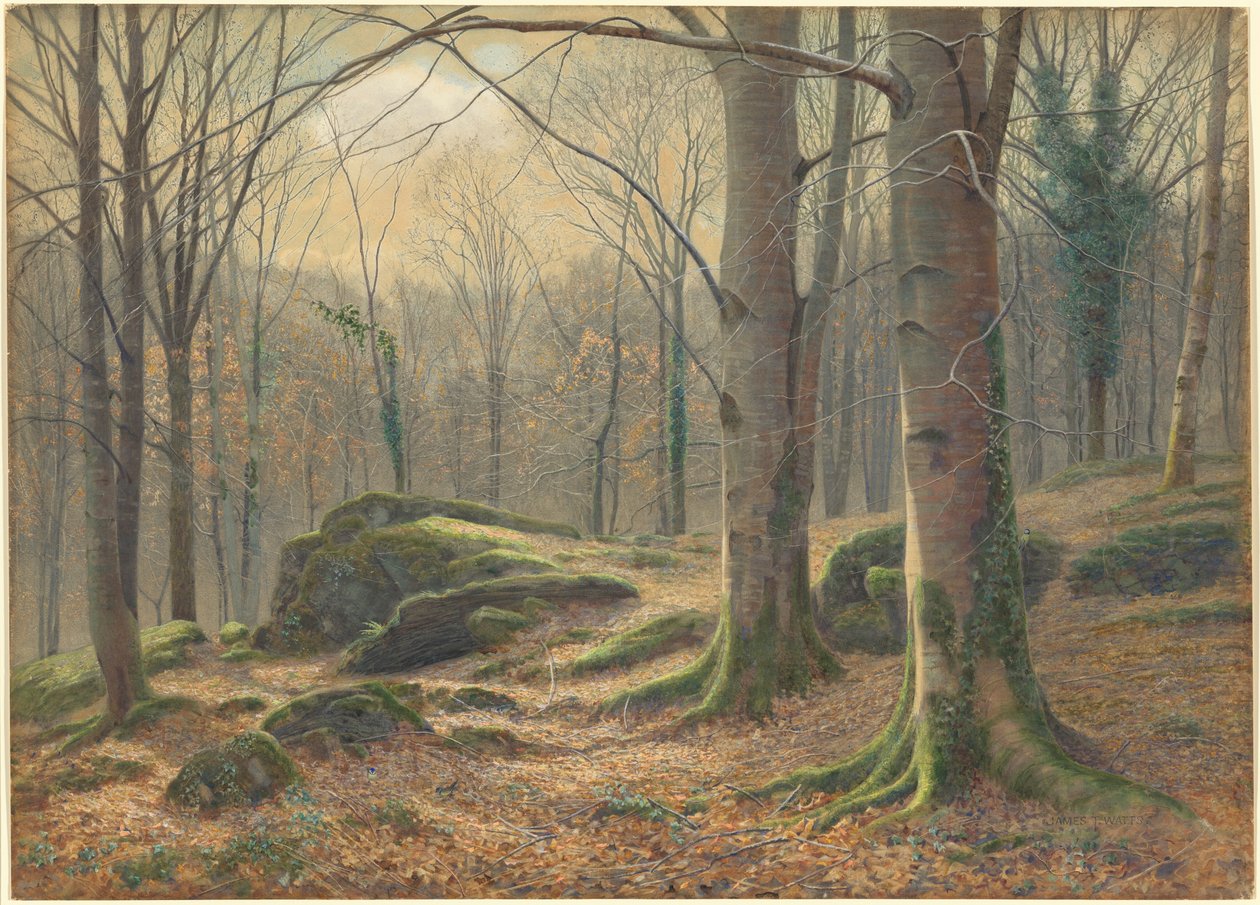 En vintermorgen, rimfrost smelter av James Thomas Watts