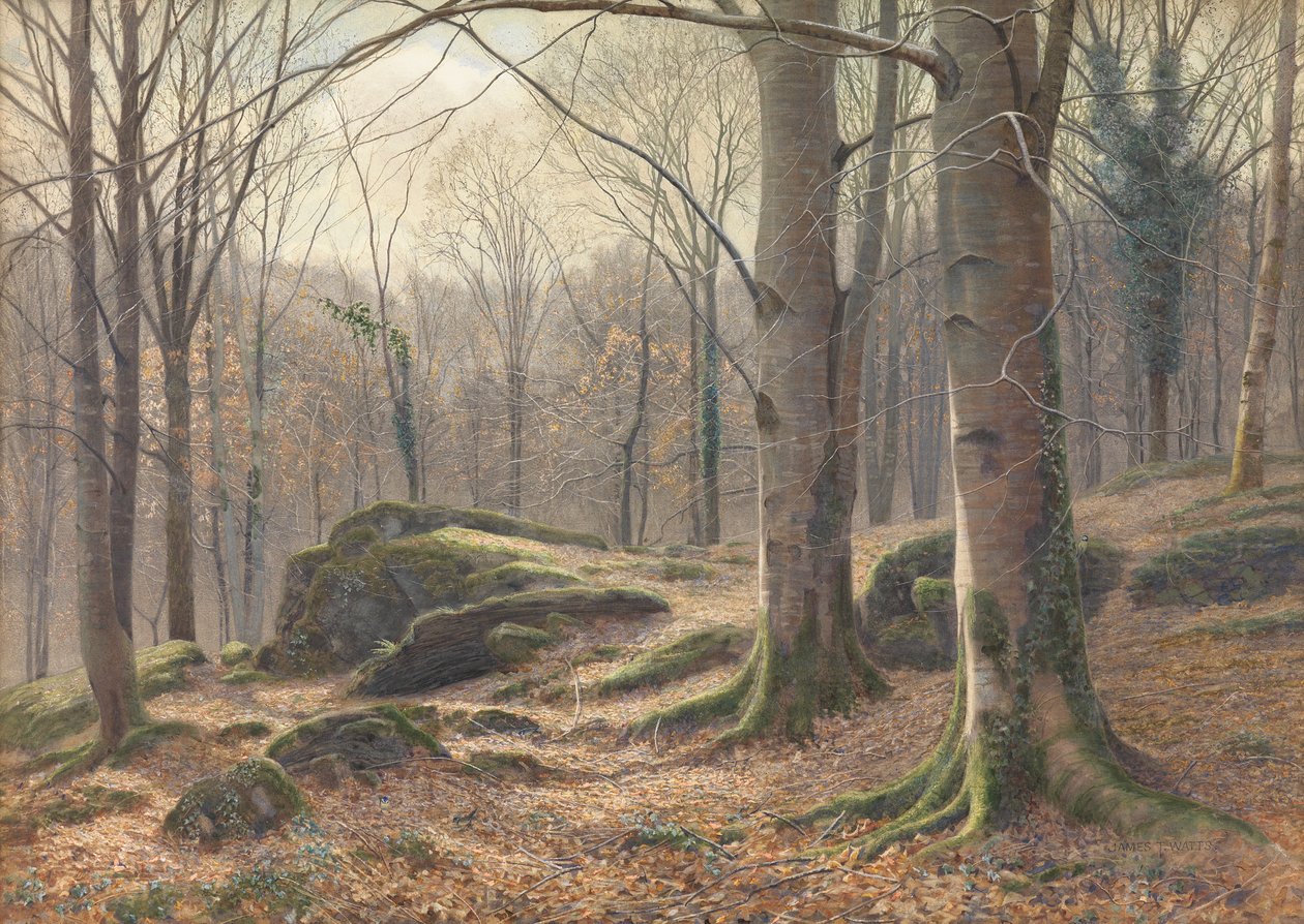 En vintermorgen, rimfrost smelter, 1885-1894 av James Thomas Watts