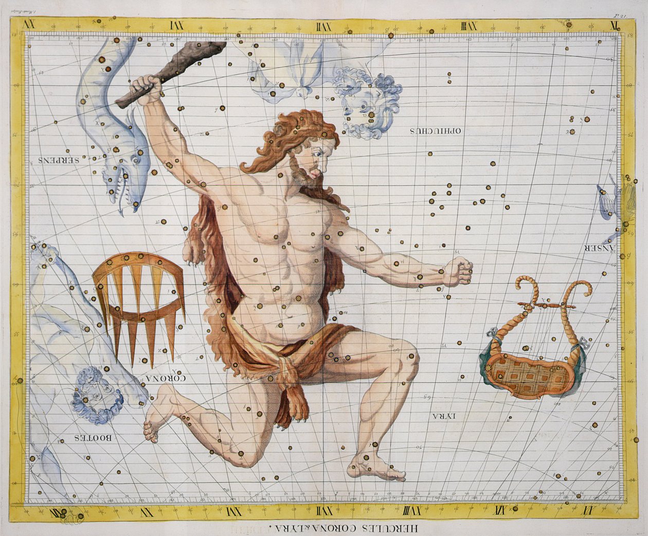 Constellation of Hercules with Corona and Lyra, plate 21 fra 