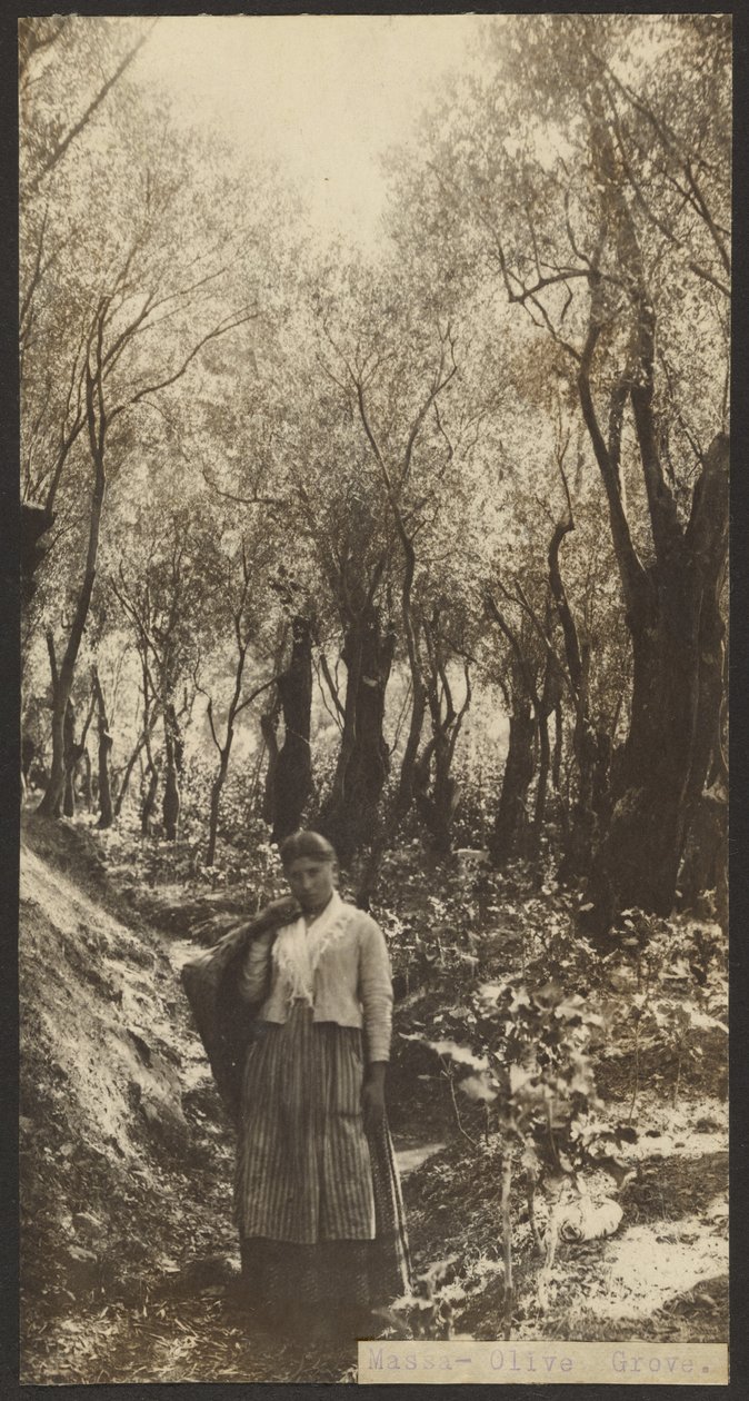  av James W. Holcombe