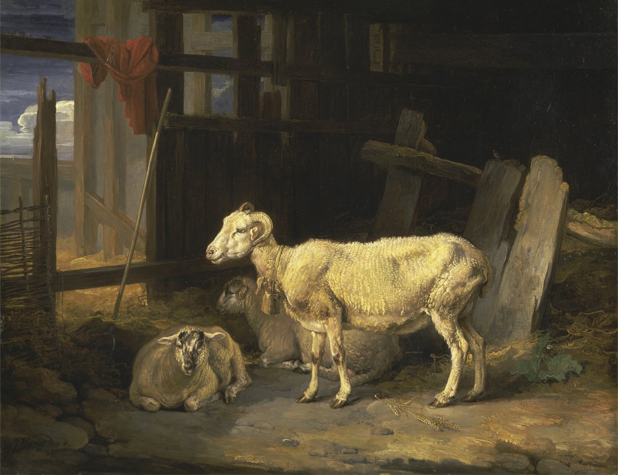 Hedesø og lam av James Ward