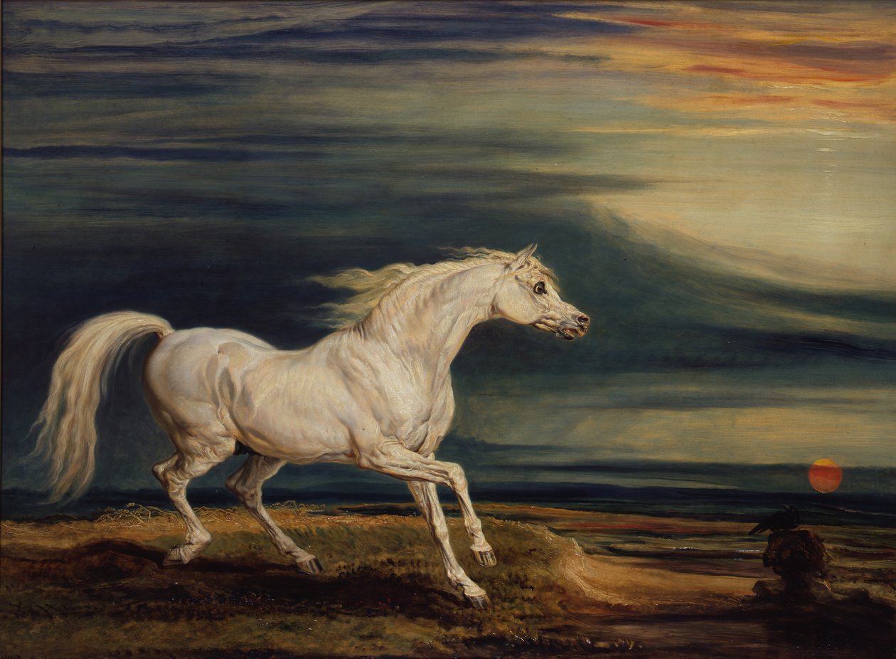 Marengo, den arabiske laderen, ridd av Napoleon Bonaparte i slaget ved Waterloo av James Ward