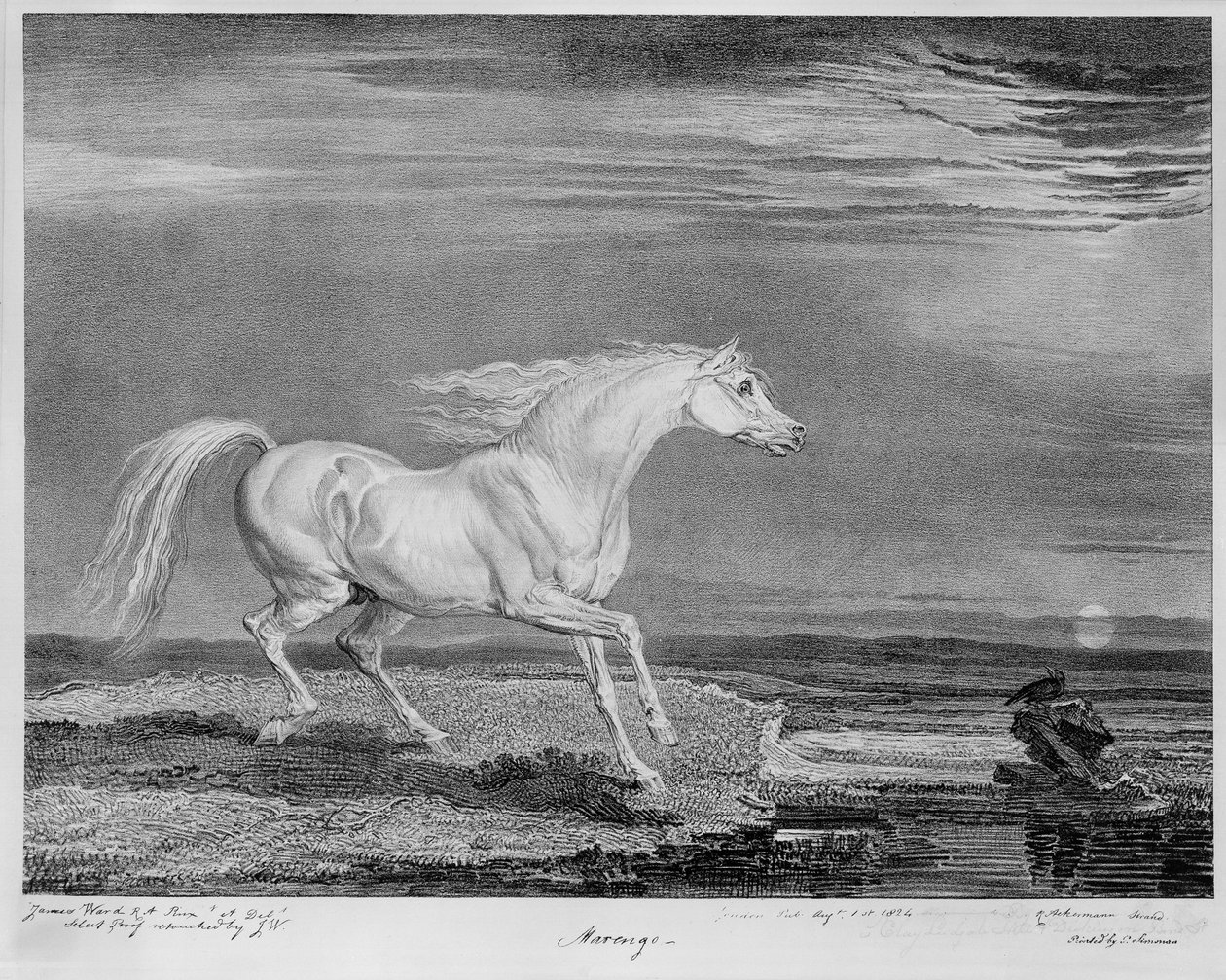 ‘Marengo’, favorittladeren til Napoleon I, ca. 1815 av James Ward