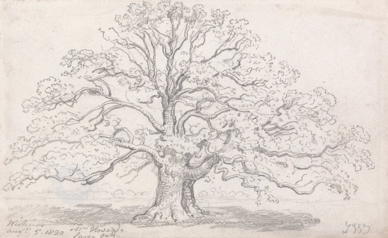 Mr. Howard's Large Oak, 5. august 1820 av James Ward