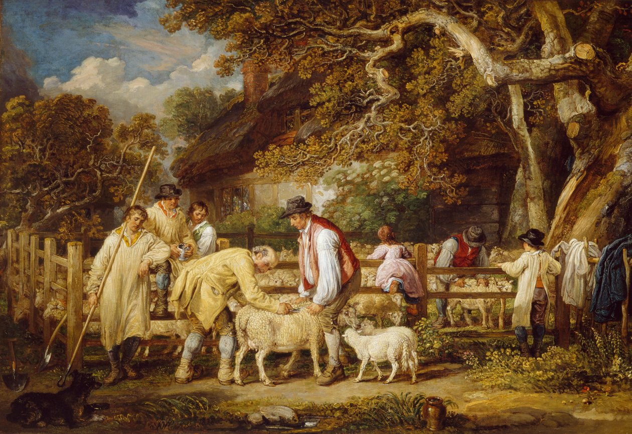 Saueredning, 1828 av James Ward