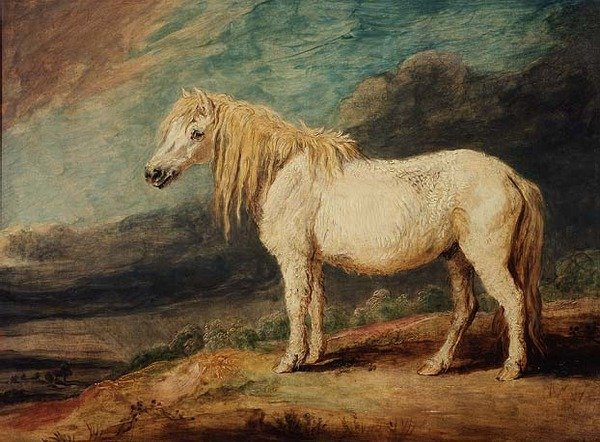 Shetlandsponni av James Ward